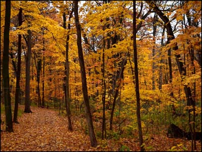 East side, Fall